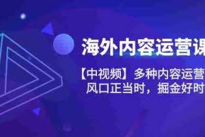 （10833期）海外内容 运营课【中视频】多种内容运营玩法 风口正当时 掘金好时机-101节