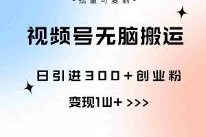 （10612期）视频号无脑搬运日引300+创业粉，变现1W+可批量复制