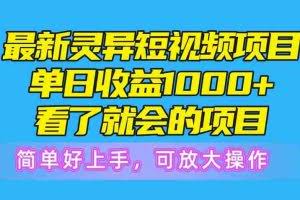 （10542期）最新灵异短视频项目，单日收益1000+看了就会的项目，简单好上手可放大操作