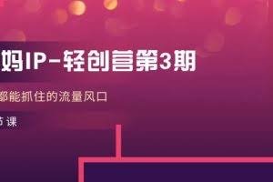 （11042期）宝妈IP-轻创营第3期，人人都能抓住的流量风口（21节课）