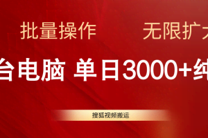 （11064期）搜狐视频搬运，一台电脑单日3000+，批量操作，可无限扩大