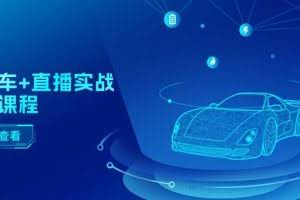 （11166期）二手车+直播实战运营课程：直播推荐/短视频推荐/千川投放/直播全流程