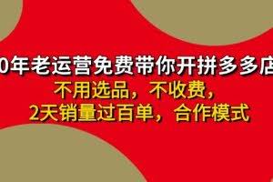 （11853期）拼多多 最新合作开店日收4000+两天销量过百单，无学费、老运营代操作、…