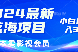 （11894期）2024最新蓝海项目，0成本卖影视会员，小白也能日入3位数