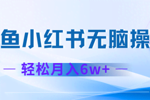 （12450期）2024赚钱的项目之一，轻松月入6万+，最新可变现项目