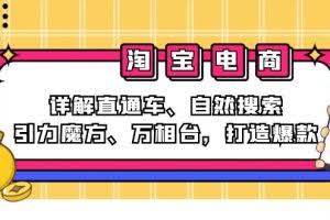 （12814期）2024淘宝电商课程：详解直通车、自然搜索、引力魔方、万相台，打造爆款