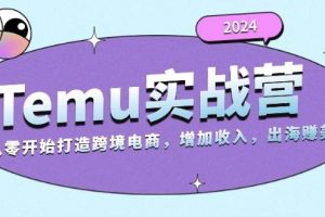 （13266期）2024Temu实战营：从零开始打造跨境电商，增加收入，出海赚美金