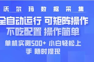 （14560期）最新沃尔玛平台采集 全自动运行 可矩阵单机实测500+ 操作简单