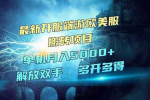 （14516期）全网热门游戏欧美服端游搬砖，最新开服，项目红利期，单机月入5000+