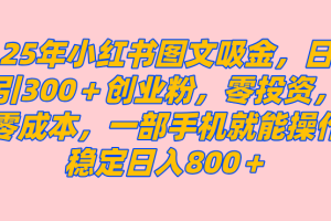 （14437期）25年小红书创业粉图文自热打法，一部手机简单操作， 日引300＋创业粉，零投资，零成本，每天利用20分钟就能完成