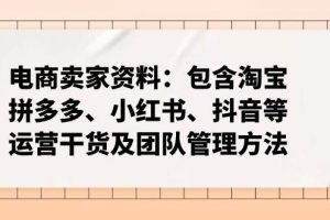 （14354期）电商卖家资料：包含淘宝、拼多多、小红书、抖音等运营干货及团队管理方法