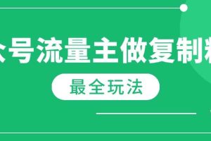 （14333期）最新完整Ai流量主爆文玩法，每天只要5分钟做复制粘贴，每月轻松10000+