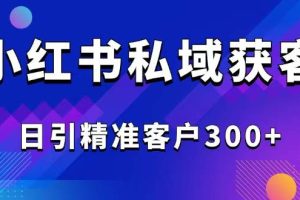（14304期）2025最新小红书平台引流获客截流自热玩法讲解，日引精准客户300+