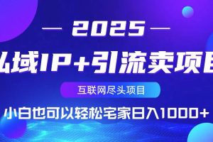（14151期）私域IP+引流卖项目，小白也可以做到轻松宅家日入1000+