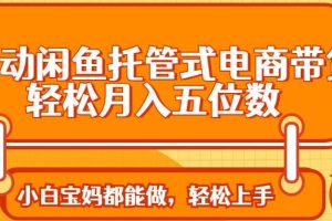 （14132期）全自动闲鱼托管式电商带货 轻松实现月入五位数