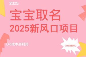 （14593期）2025新风口项目宝宝取名，0成本高利润，附保姆级教程，月入过万不是梦