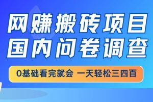 （14578期）网赚搬砖项目，国内问卷调查，0基础看完就会 一天轻松三四百，靠谱副业…