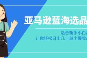 （8907期）亚马逊-蓝海选品课：适合新手小白卖家，让你轻松日出几十单小爆款产品