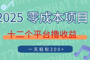 （14302期）2025年零成本项目，十二个平台撸收益，单号一天轻松200+