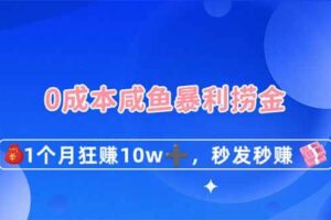 （14257期）0成本闲鱼暴利捞金，1个月狂赚10W+，秒发秒赚新玩法