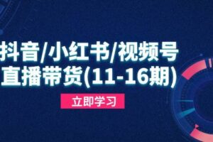 （14611期）抖音/小红书/视频号/直播带货(11-16期)，快速掌握平台规则，打造爆款内容