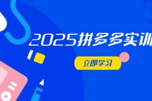 （14531期）2025拼多多实训营：深度剖析运营关键，助力电商人快速提升
