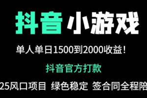 （14527期）抖音官方小游戏2025全网最新玩法，暴利赚钱项目，单机日入2000+，绝不…