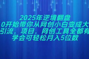 （14473期）2025年逆境翻盘，从0开始带你从网创小白变成大佬，引流，项目，网创工…
