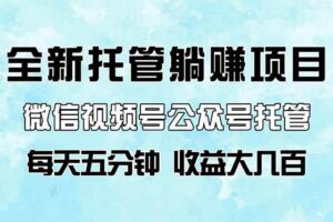 （14425期）全新托管躺赚项目，微信视频号公众号托管代运营，每天五分钟，收益大几百