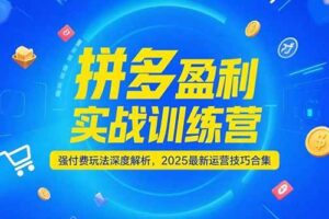 （15183期）拼多多盈利实战训练营，强付费玩法深度解析，2025最新运营技巧合集
