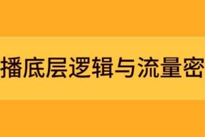 （14695期）直播底层逻辑与流量密码：定位模型+案例拆解，急速流承接与数据优化全攻略