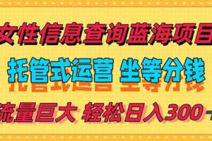 （15216期）稳定日入300＋，小众信息查询蓝海项目，全程懒人式托管，解放你的时间