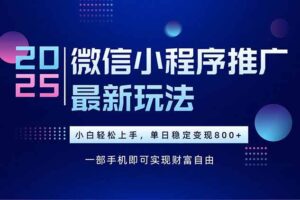 （15603期）25年下半年微信小程序推广最新玩法，轻松日入800+