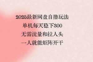 （15831期）2025最新网盘自撸玩法，单机每天稳下3张，无需流量和拉人头，一个人就…