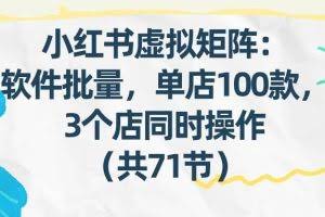 （17271期）小红书虚拟矩阵：软件批量发笔记，单店100款，3个店同时操作（共71节）