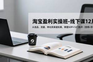 （17079期）淘宝盈利实操班-线下课12月，从选品、流量、转化到渠道拓展，掌握SOP+12门技术（音频+字幕）