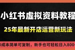 （16795期）小红书虚拟资料项目：最新搜索流变现玩法，0成本简单可复制，一人多店打法，新手日入800+