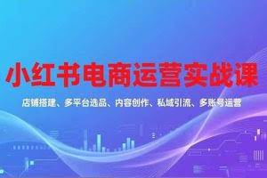 （16695期）小红书电商运营实战课，店铺搭建、多平台选品、内容创作、私域引流、多账号运营等玩法