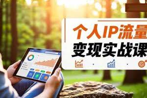 （16525期）个人IP流量变现实战课，涵盖多平台引流、打造个人IP并实现稳定流量变现