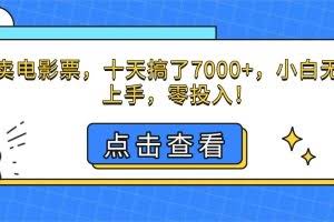 （16373期）靠卖电影票，十天搞了7000+，小白无门槛上手，零投入！
