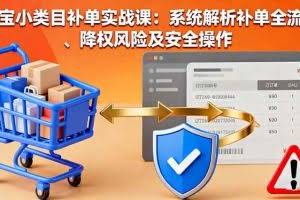 （16239期）淘宝小类目补单实战课：系统解析补单全流程、降权风险及安全操作