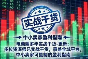 （18231期）电商圈多年实战干货-更新4月27：多位资深师兄实战干货/覆盖全域平台，中小卖家可复制的盈利指南